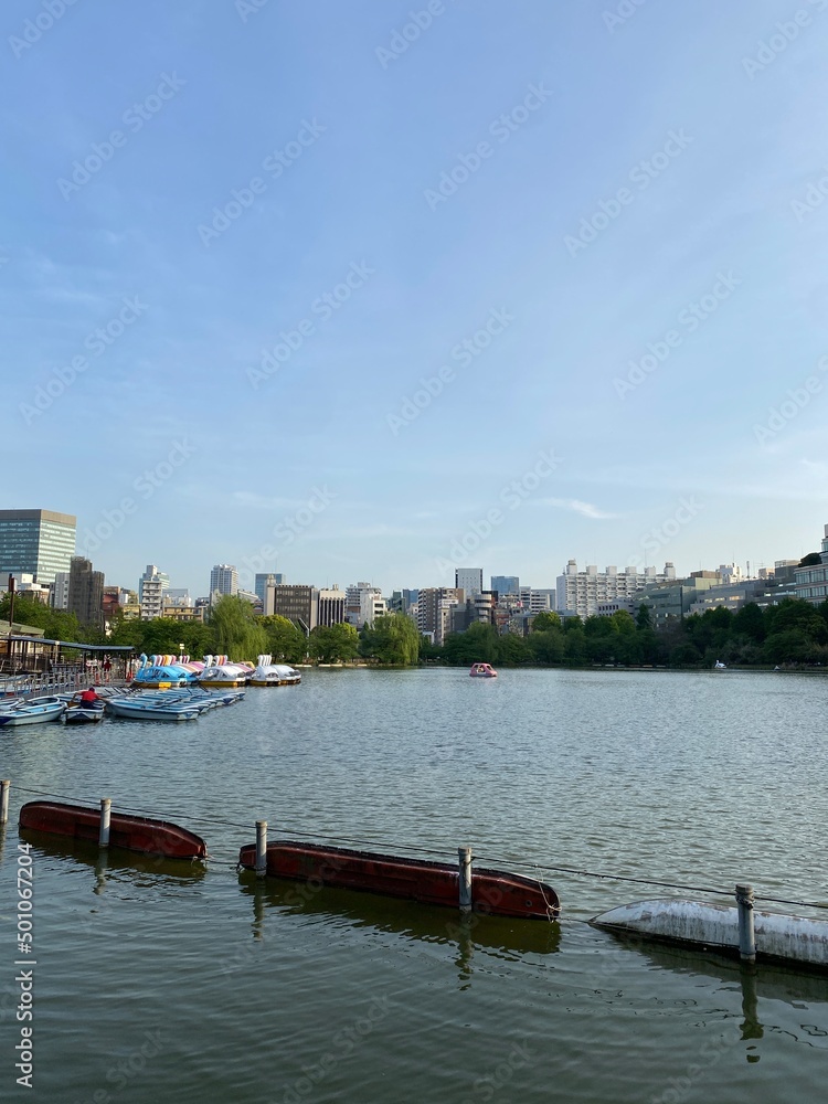 Ueno boat dock at the pond with evening sun light, downtown city view in the background.  Year 2022, spring April