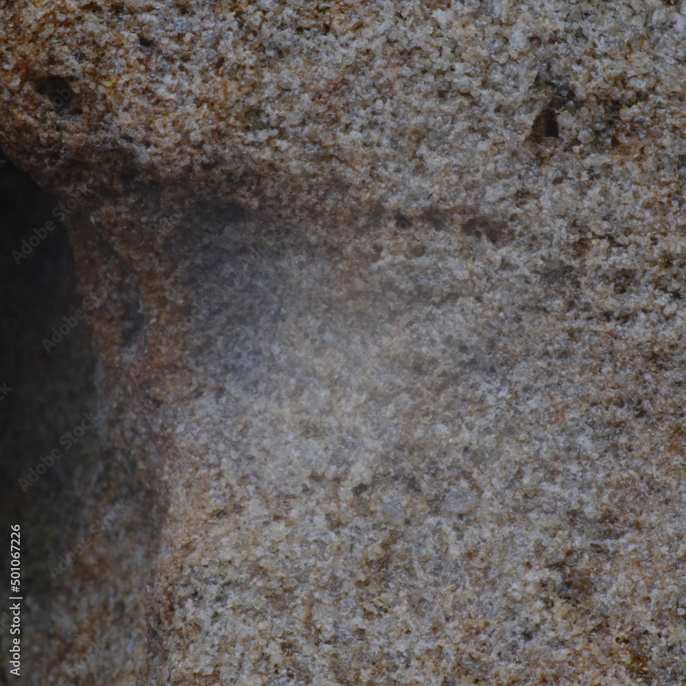 beautiful natural texture beautiful natural texture