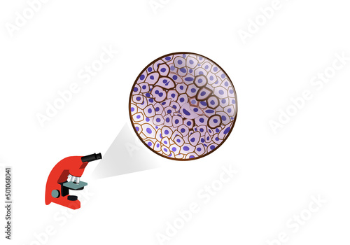 immunohistochemistry with a microscope