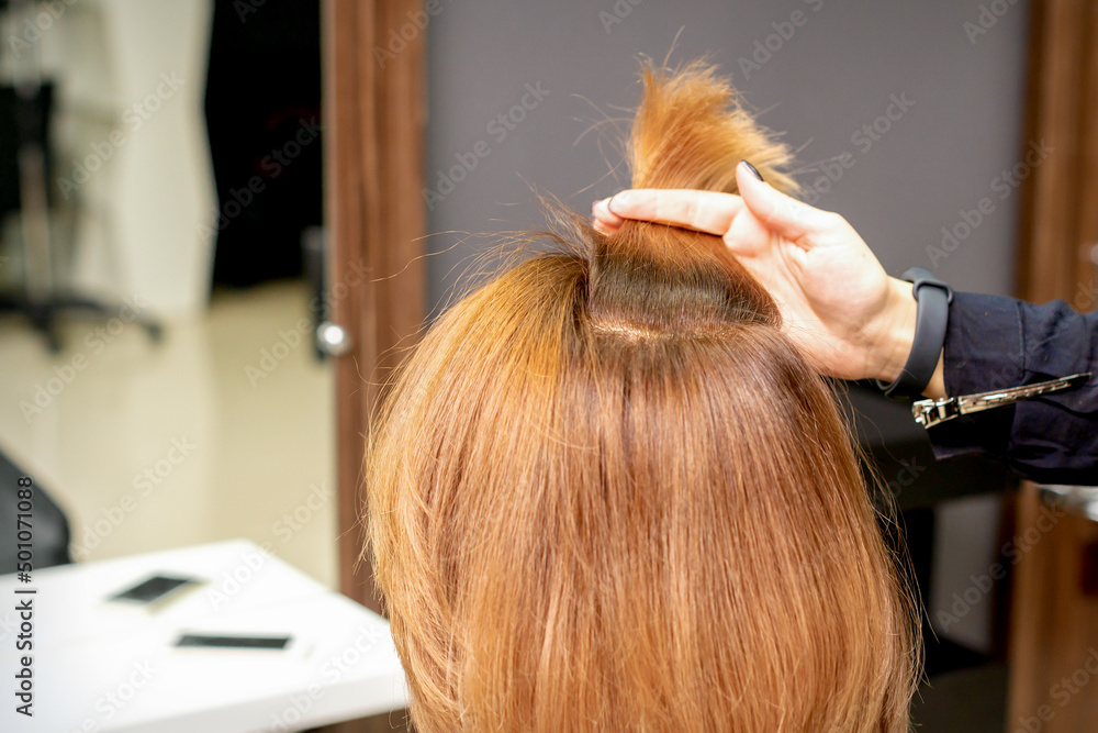 The hairdresser holds a strand in hand between fingers of the female hair. Examination of the hair of the young woman in a hairdressing salon The hairdresser holds a strand in hand between fingers of the female hair. Examination of the hair of the young woman in a hairdressing salon