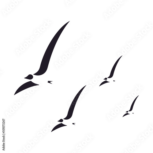Seagulls on white background, vector illustration