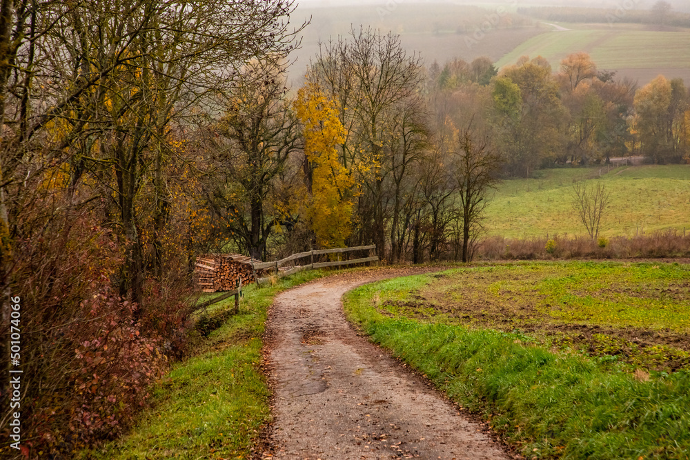 Fototapeta premium A farm road lined with trees and bushes in winter colors leads down a hill in a rural setting with mystical foggy background