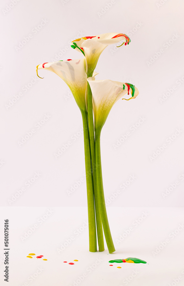Obraz premium White fresh flowers with dripping paint against bright background. Minimal spring or summer concept. Colorful nature idea.