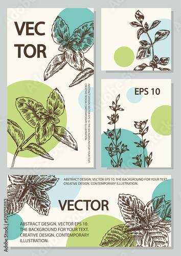 A set of images with plants. Herbs and spices. 
Vector for design.
