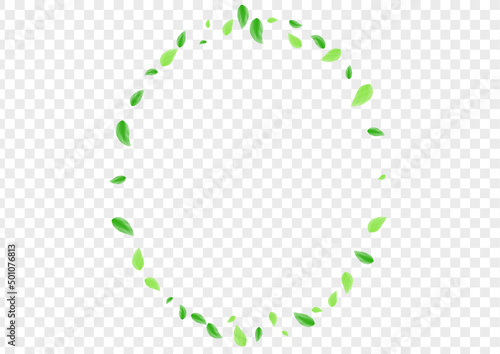 Light Green Greenery Background Transparent Vector. Foliage Realistic Frame. Botanical Texture. Greenish Healthy Card. Sheet Growth.