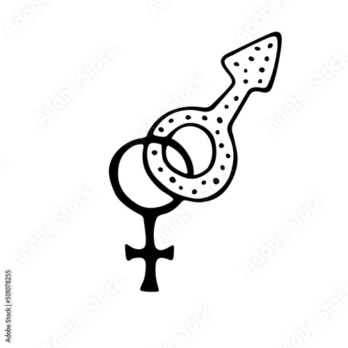 Vector female and male crossed gender symbols hand drawn outline doodle icon. Women and men love combinations