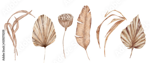 Tropical boho dried palm leaves floral set