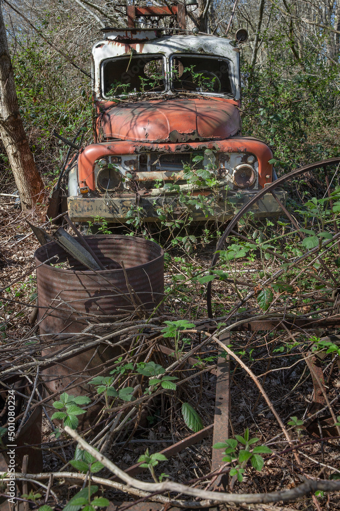 At the junkyard. Abandoned tow truck. overgrown by blackberry Perished agricultural history. Abandoned and rusted machinery.
At the junkyard. Abandoned tow truck. overgrown by blackberry Perished agricultural history. Abandoned and rusted machinery.