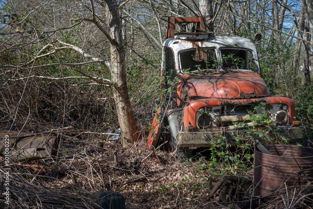 At the junkyard. Abandoned tow truck. Bedford overgrown by blackberry Perished agricultural history. Abandoned and rusted machinery.