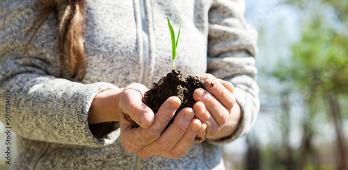 Eine Frau setzt im Frühling Zwiebeln ein