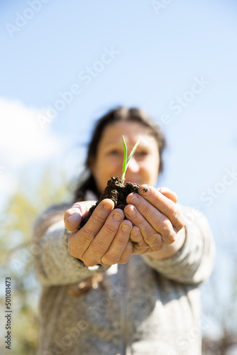 Eine Frau setzt im Frühling Zwiebeln ein