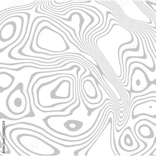 Abstract background of curved gray lines on a white background, design element © Nikolas