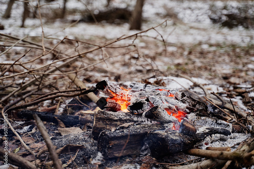 Bonfire in the winter forest.