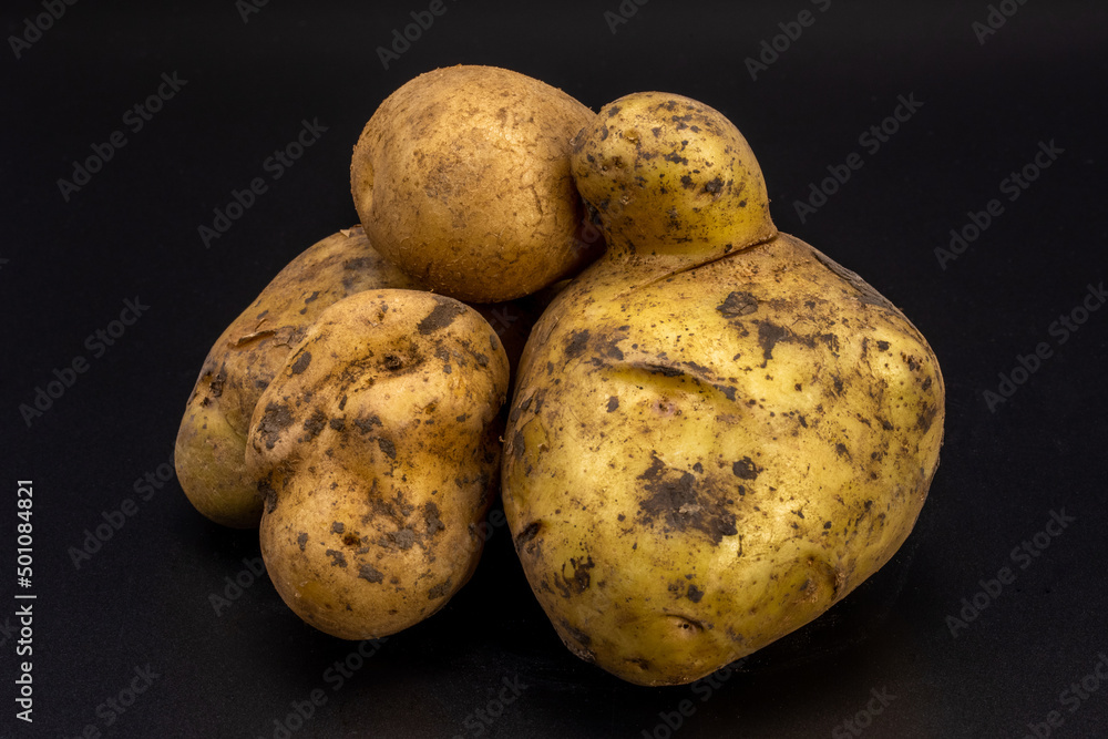 Potatoes fresh isolated in black background, shot using studio lighting and in macro lens for the crystal clear quality and detailing. Potatoes fresh isolated in black background, shot using studio lighting and in macro lens for the crystal clear quality and detailing.