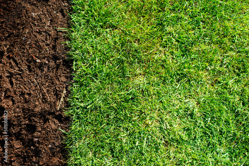 green lawn soil top view background.