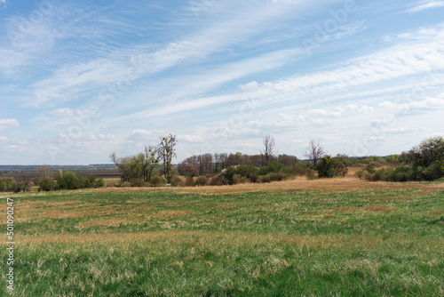 Idyllic and sunny day in Oderbruch  Brandenburg  Germany