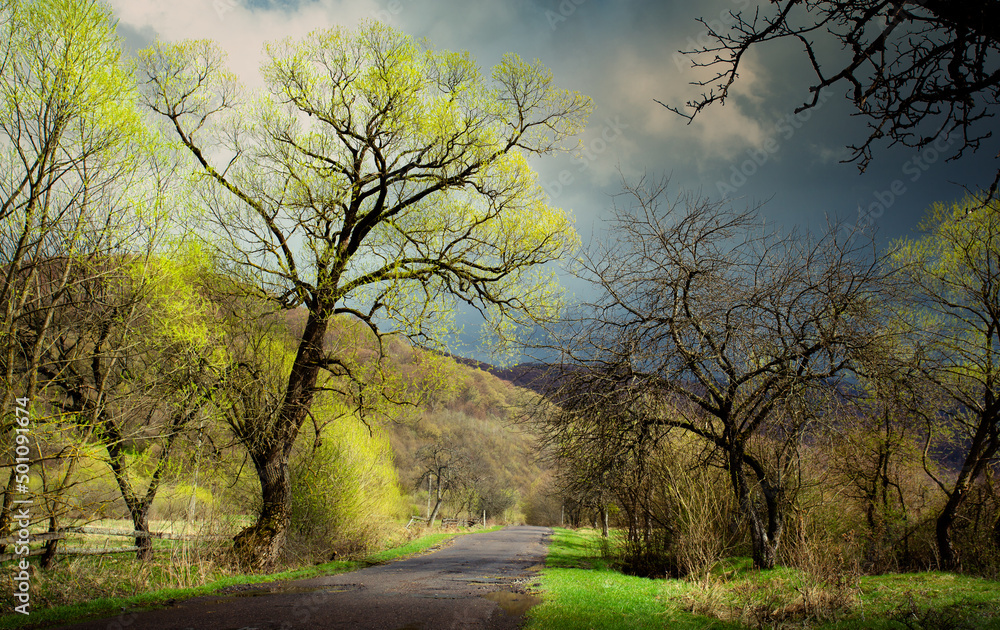 art rural landscape. Spring countryside landscape with Spring trees and empty rural road;