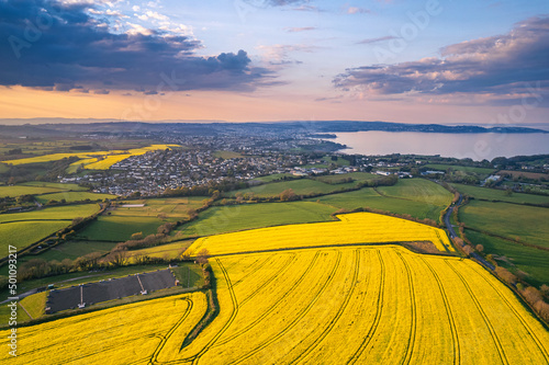 Sunset over Rapeseed fields and Farmlands from a drone, Paignton and Brixham, River Dart, Devon, England