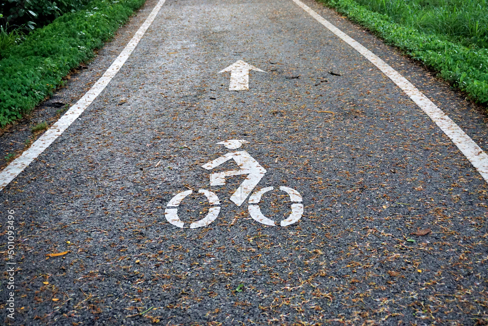 Fototapeta premium Bicycle lane symbol on road with green area around