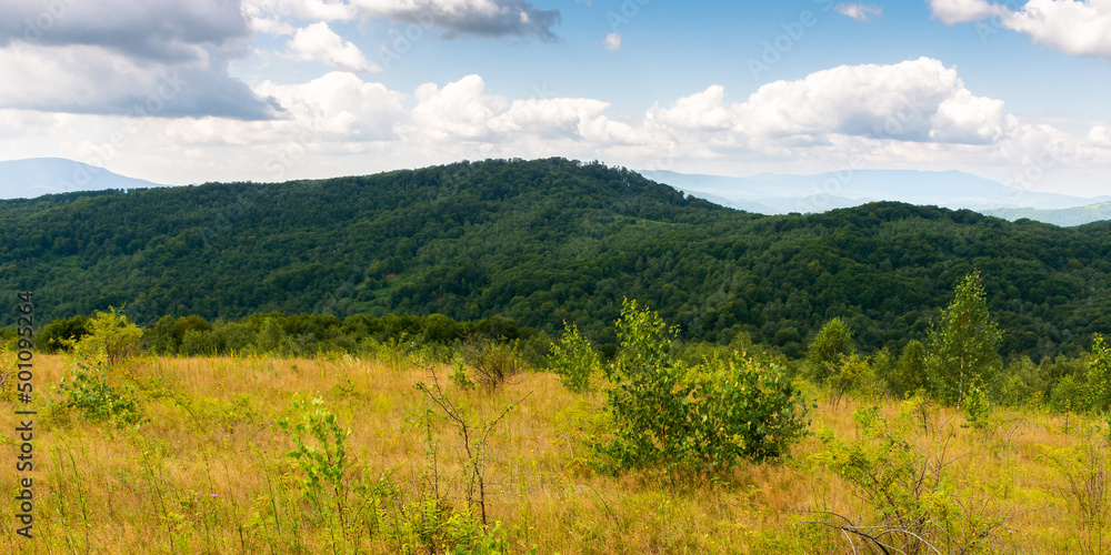idyllic landscape of carpathian alps with fresh green meadows. forest on the hills beneath a clouds on the blue sky. transcarpathia, ukraine, europe
