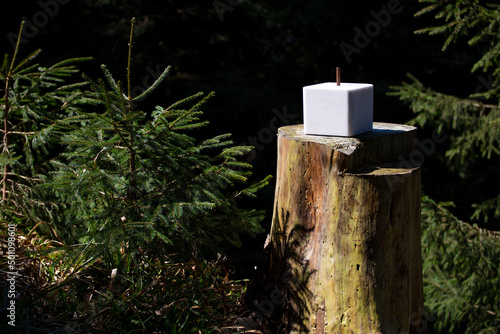 Canvas Print A salt stone stands on a tree trunk in the forest. Wild animals.