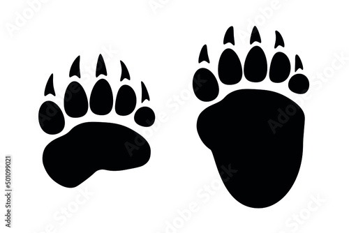 Silhouette of a print of the front and back paws of a bear. Grizzly tracks. Vector stock image.