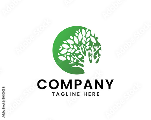 Modern and clean tree logo