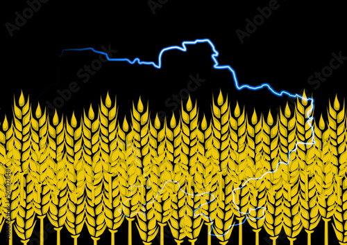 Illustration with a map of Ukraine and ears of wheat. Can be used on the issue of wheat exports from Ukraine.