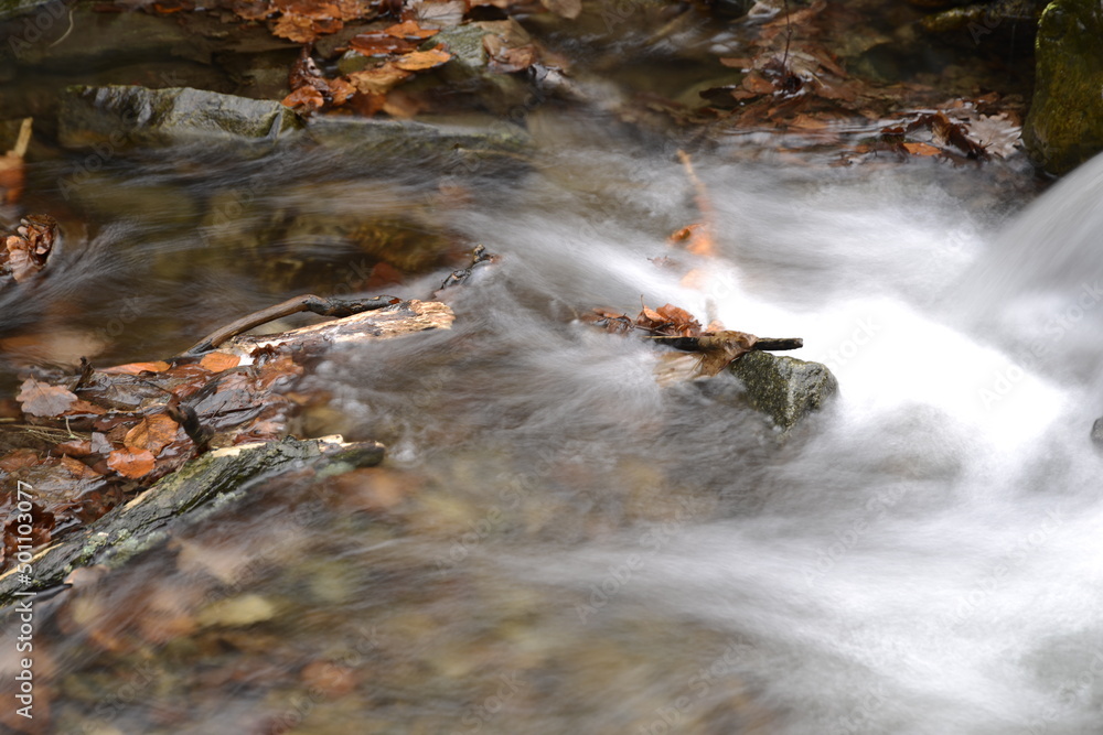 Fototapeta premium Fantasy Forest Magic River