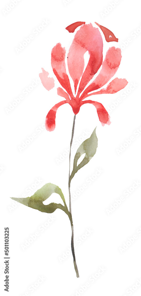 flower on soft pastel red color on white background