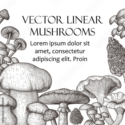 Vector banner template in engraving style. Graphic linear fly agaric, chanterelles, white fungus, honey mushrooms, morel