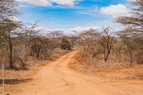 A empty dirt road in the arid landscapes of Nanyuki, Kenya