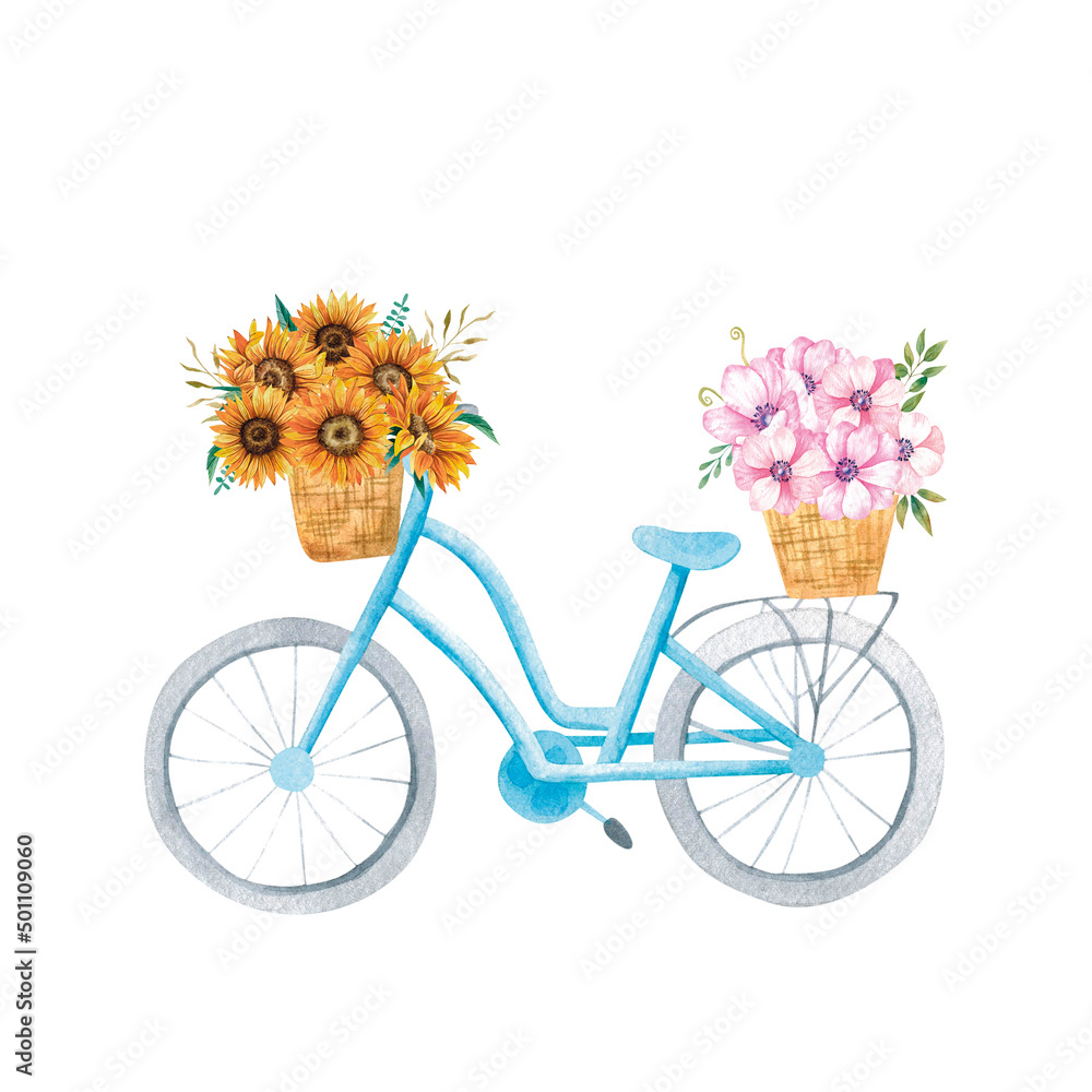 Watercolor blue bicycle with flowers basket. Hand drawn illustration with sunflowers and anemones in basket.