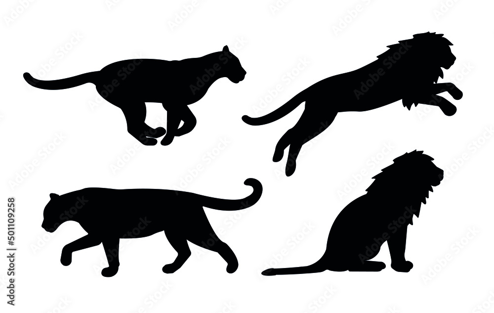 Vector set of flat lions silhouette isolated on white background