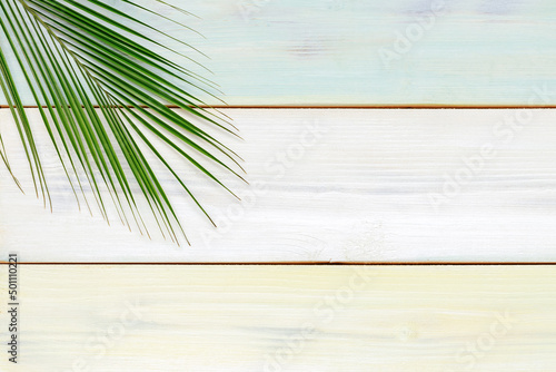 Tropical palm tree leaf on a wooden board. Summer vacation concept. Top view  copy space.