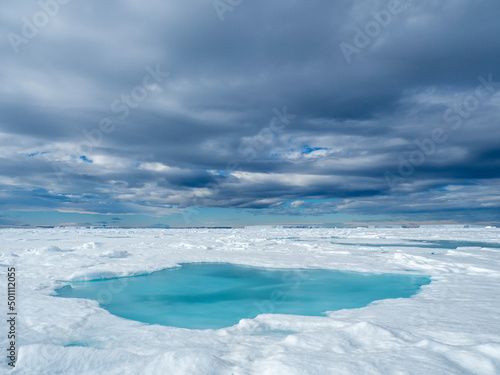 A melt water pool on first year sea ice near Snow Hill Island, Weddell Sea photo