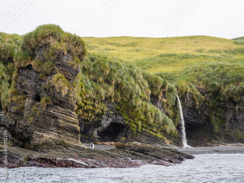 A waterfall drops to the beach where elephant seals are hauled out on Annenkov Island, South Georgia photo