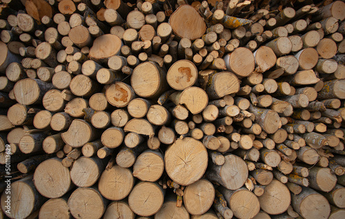 Stacked loggs of fire wood texture background.