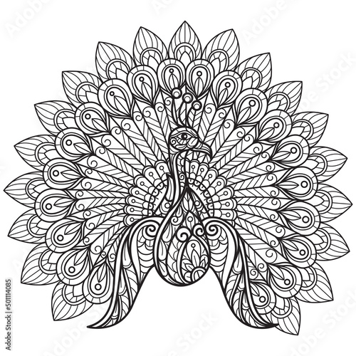 Cute peacock hand drawn for adult coloring book