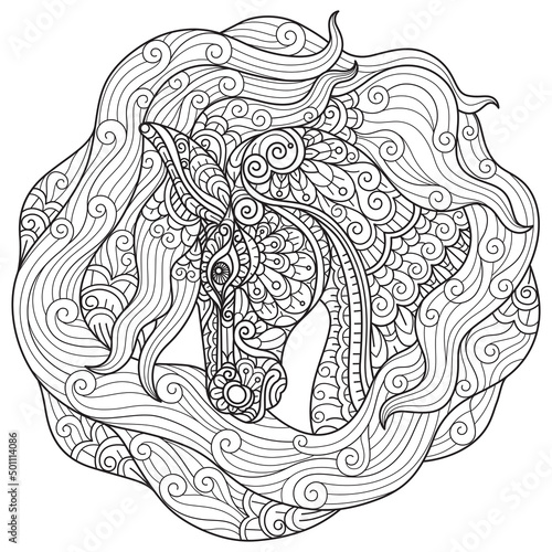 Horse hand drawn for adult coloring book photo