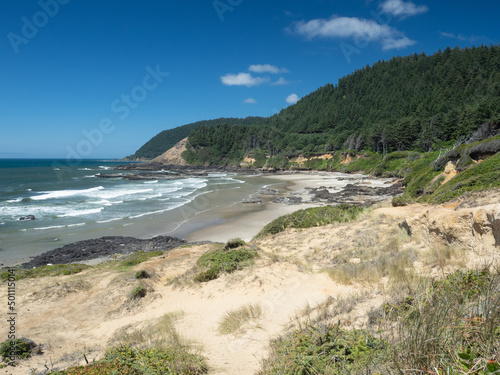 View from the Strawberry Hill Wayside on Route 101, Oregon, United States of America photo