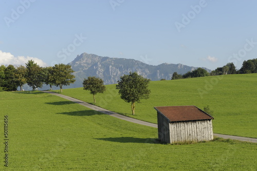 Hütte auf einem Feld im Allgäu