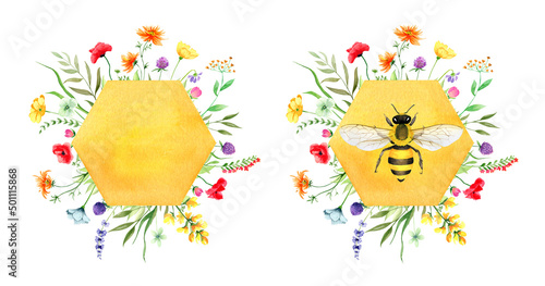 Fototapeta Naklejka Na Ścianę i Meble -  Honeycombs with wildflowers and honey bee, Watercolor illustration 