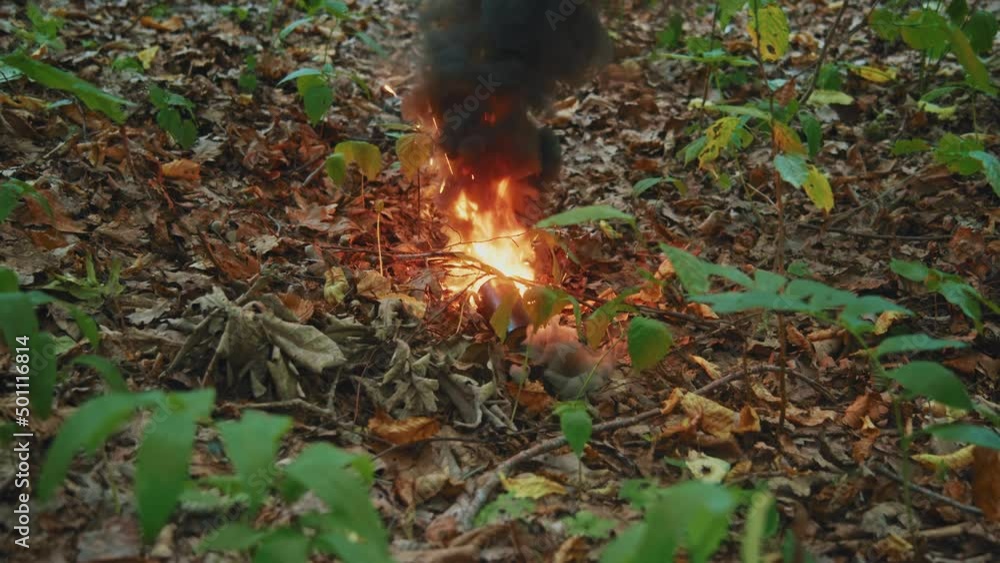 Smoke rising on the field after the explosion of the bombs. Training soldiers in forest Smoke rising on the field after the explosion of the bombs. Training soldiers in forest