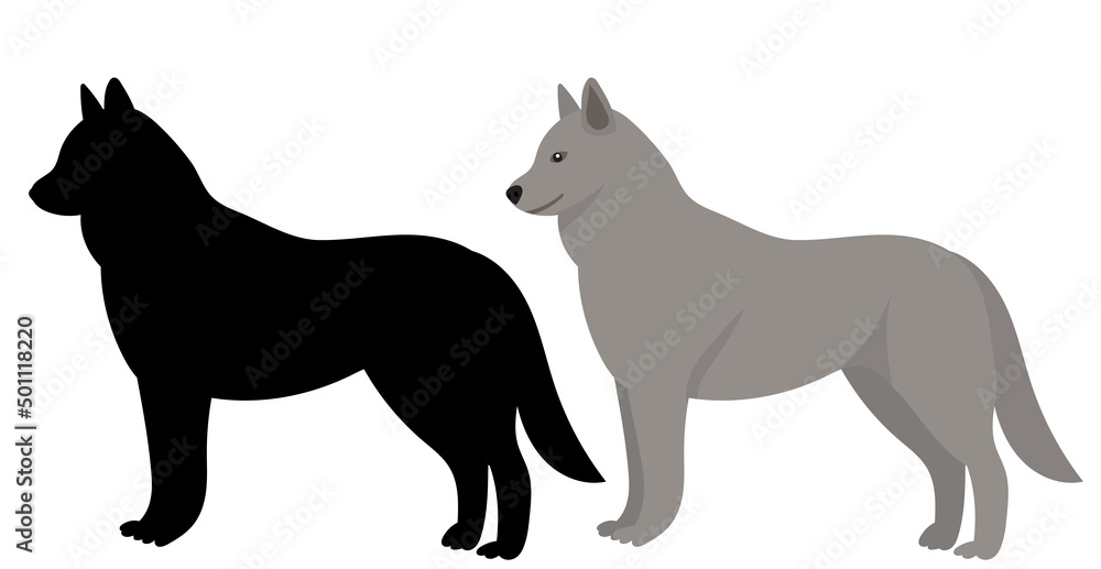 wolf flat design, isolated on white background, vector