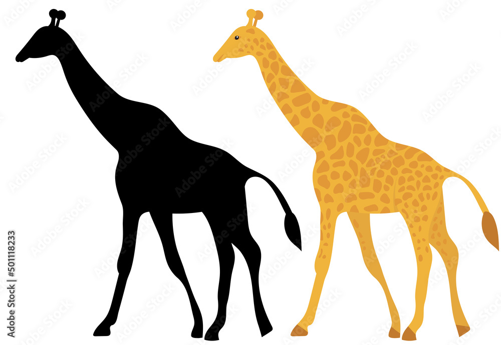 Obraz premium giraffe flat design, isolated on white background, vector
