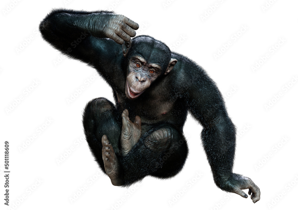 3D Rendering Chimpanzee on White 3D Rendering Chimpanzee on White