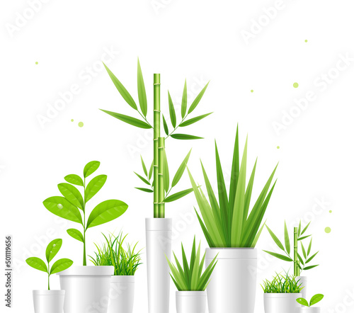 Realistic 3d Detailed Green House Plant Pot Set. Vector
