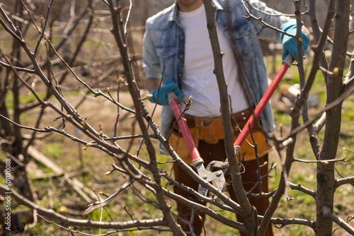 Portrait of young man pruning branch