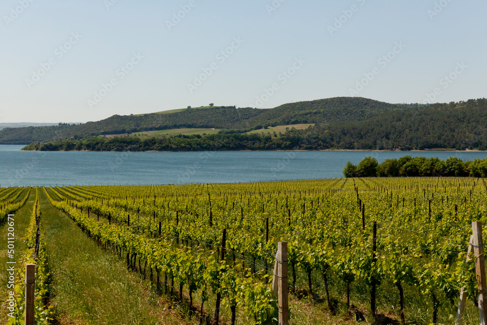 Fototapeta premium Lago di Corbara, Umbria